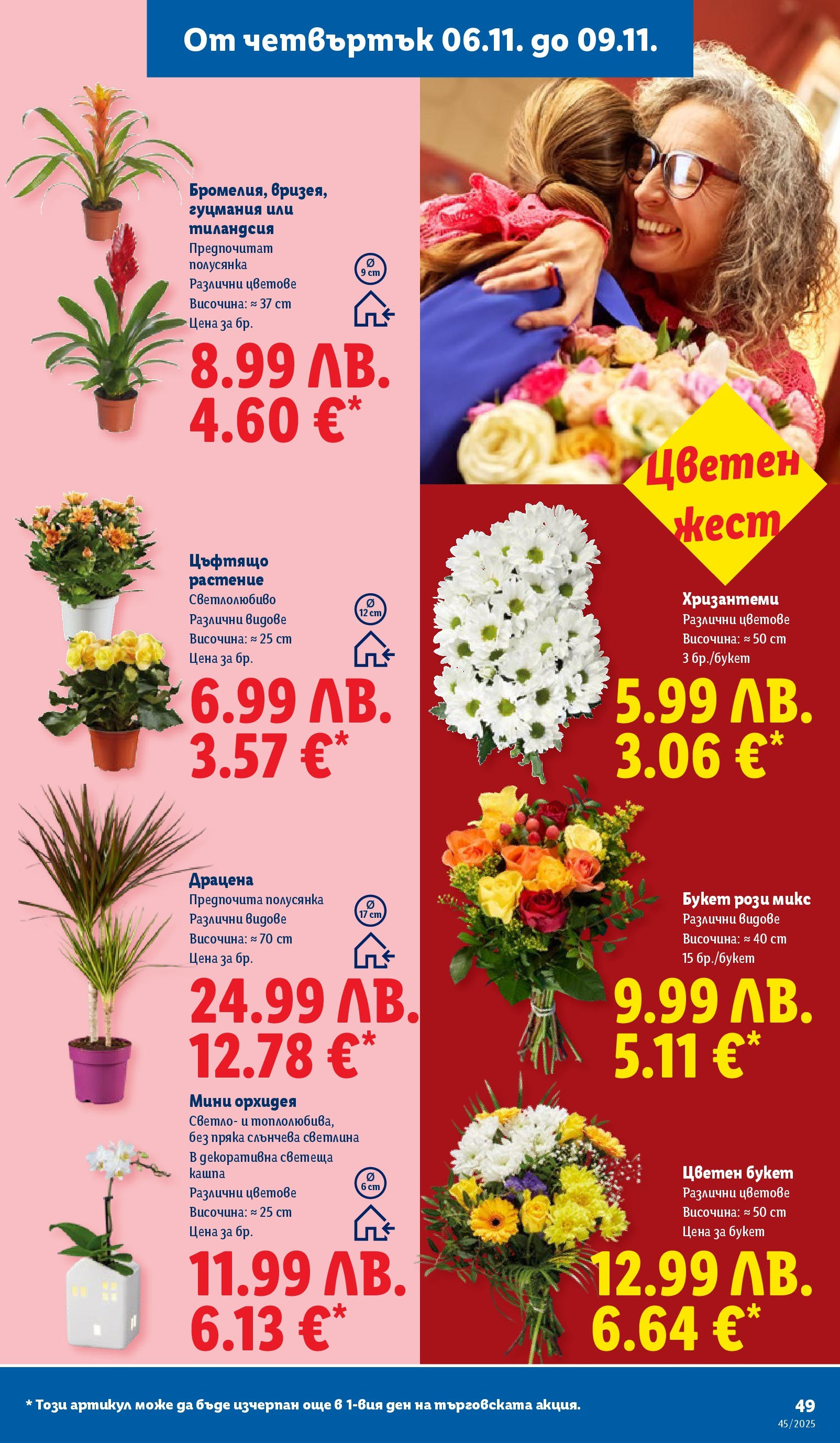 Cедмична брошура на Лидл от 03.11.2025 | Страница: 49 | Продукти: Орхидея