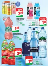 maly pdf dino 44 www