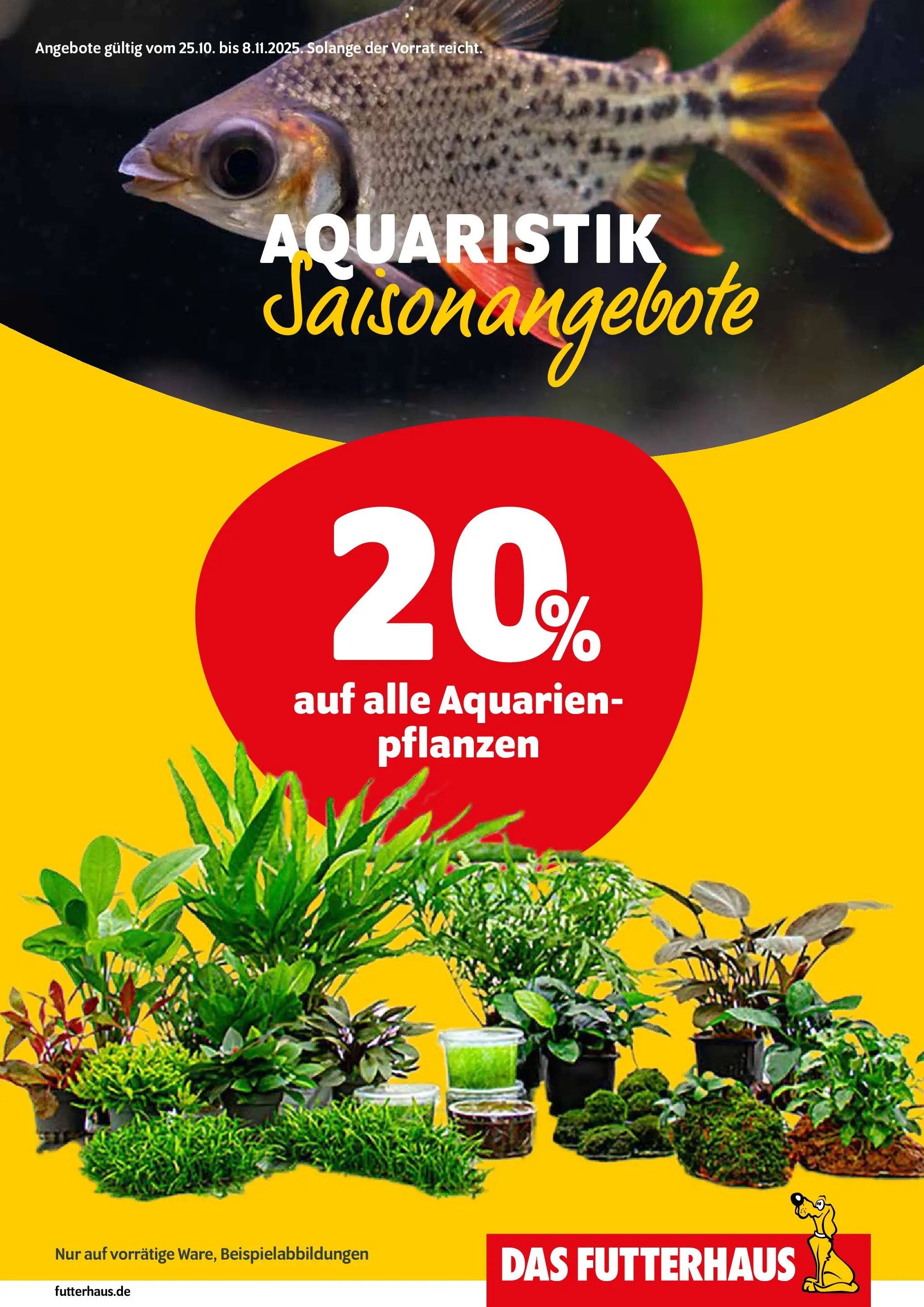 Entdecke - Futterhaus: Aktion Aquaristik (ab 24.10.2025) zum Blättern | Seite: 3