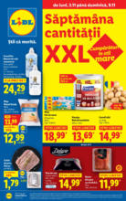 Lidl Catalog Lidl până în data de 09.11.2025 - de la 03-11-25