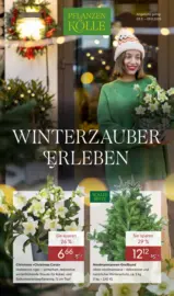 Pflanzen-Kölle: Winterzauber erleben