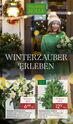 Pflanzen-Kölle - Pflanzen-Kölle: Winterzauber erleben ab 02.11.2025 gültig