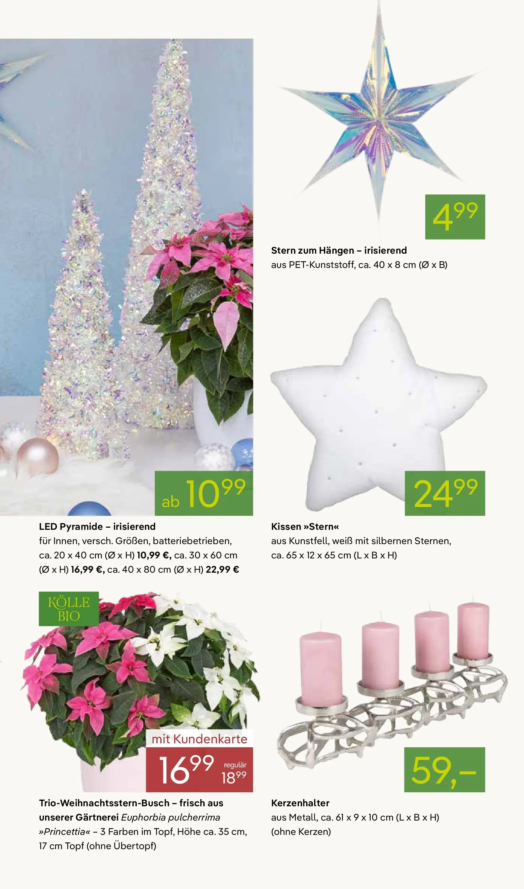 Pflanzen-Kölle - Pflanzen-Kölle: Winterzauber erleben (ab 02.11.2025) zum Blättern | Seite: 3 | Produkte: Kissen