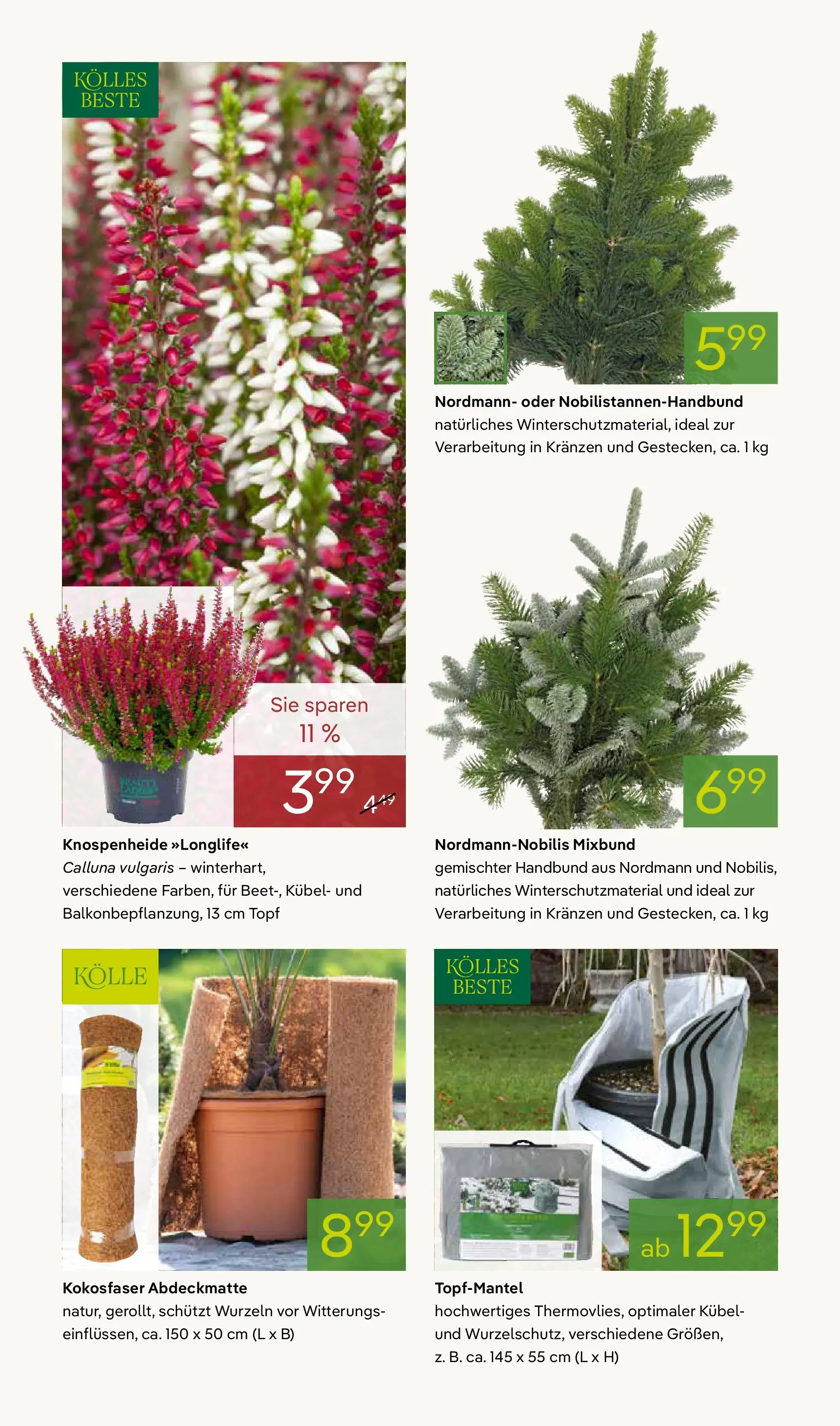 Pflanzen-Kölle - Pflanzen-Kölle: Winterzauber erleben (ab 02.11.2025) zum Blättern | Seite: 10