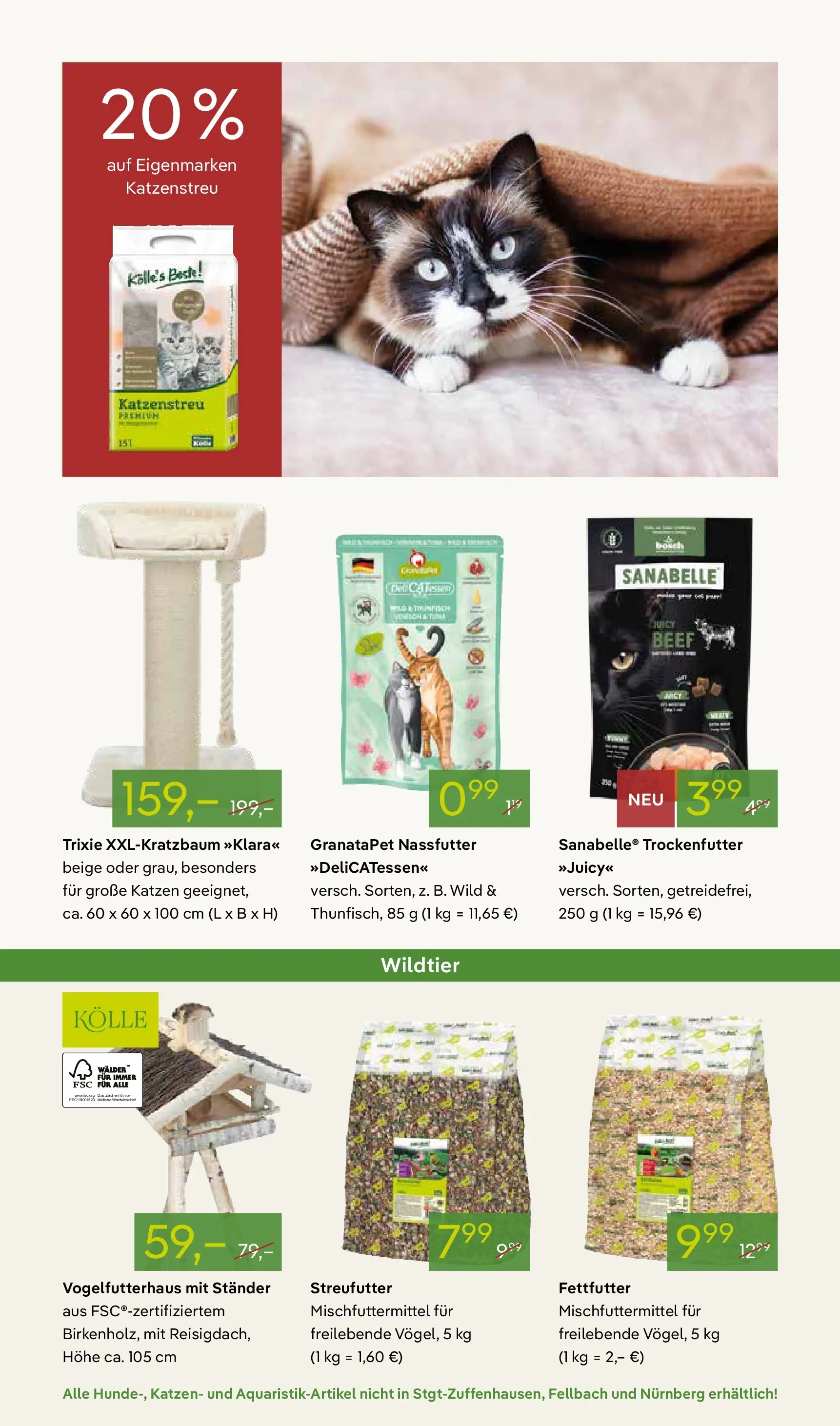 Pflanzen-Kölle - Pflanzen-Kölle: Winterzauber erleben (ab 02.11.2025) zum Blättern | Seite: 16