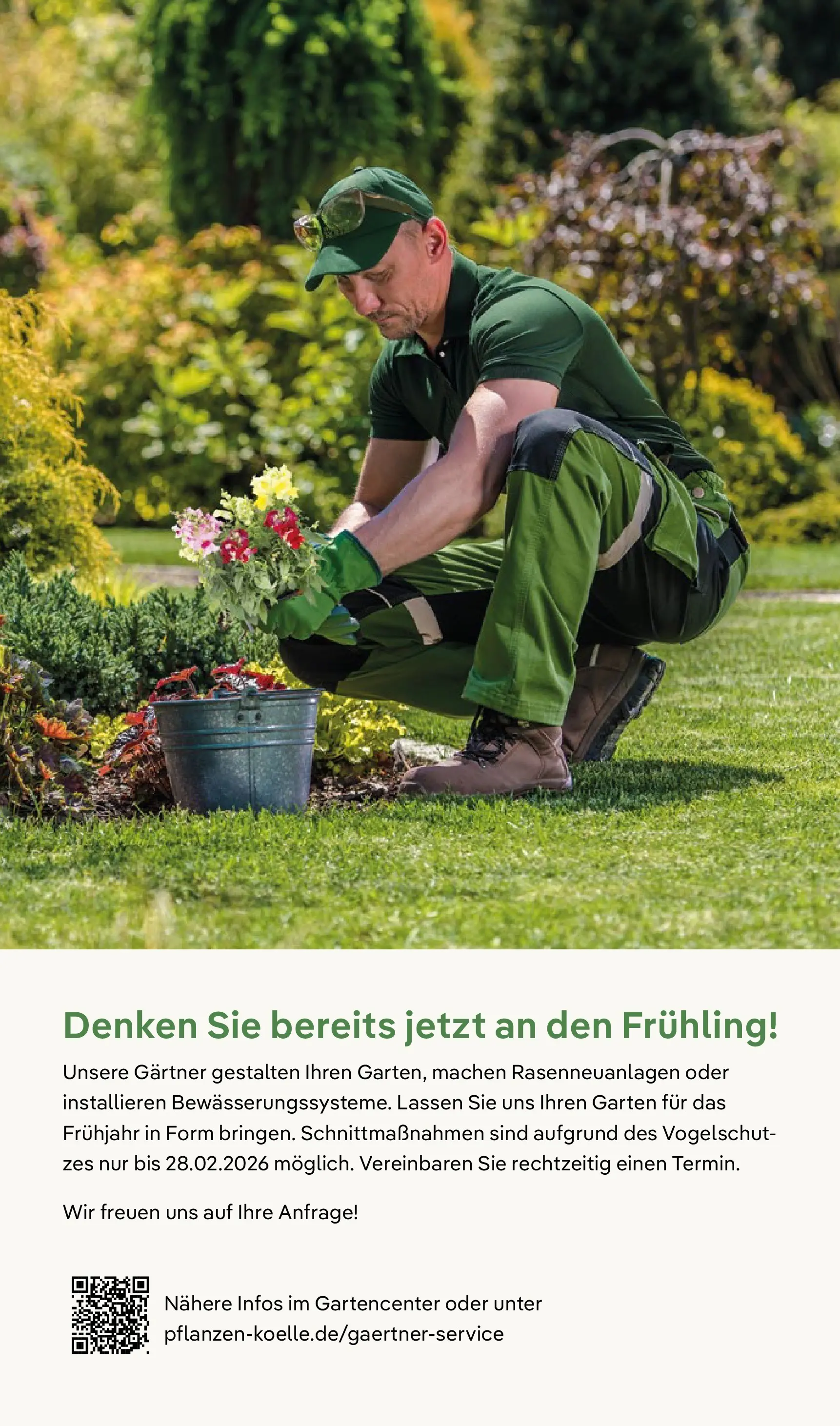 Pflanzen-Kölle - Pflanzen-Kölle: Winterzauber erleben (ab 02.11.2025) zum Blättern | Seite: 19