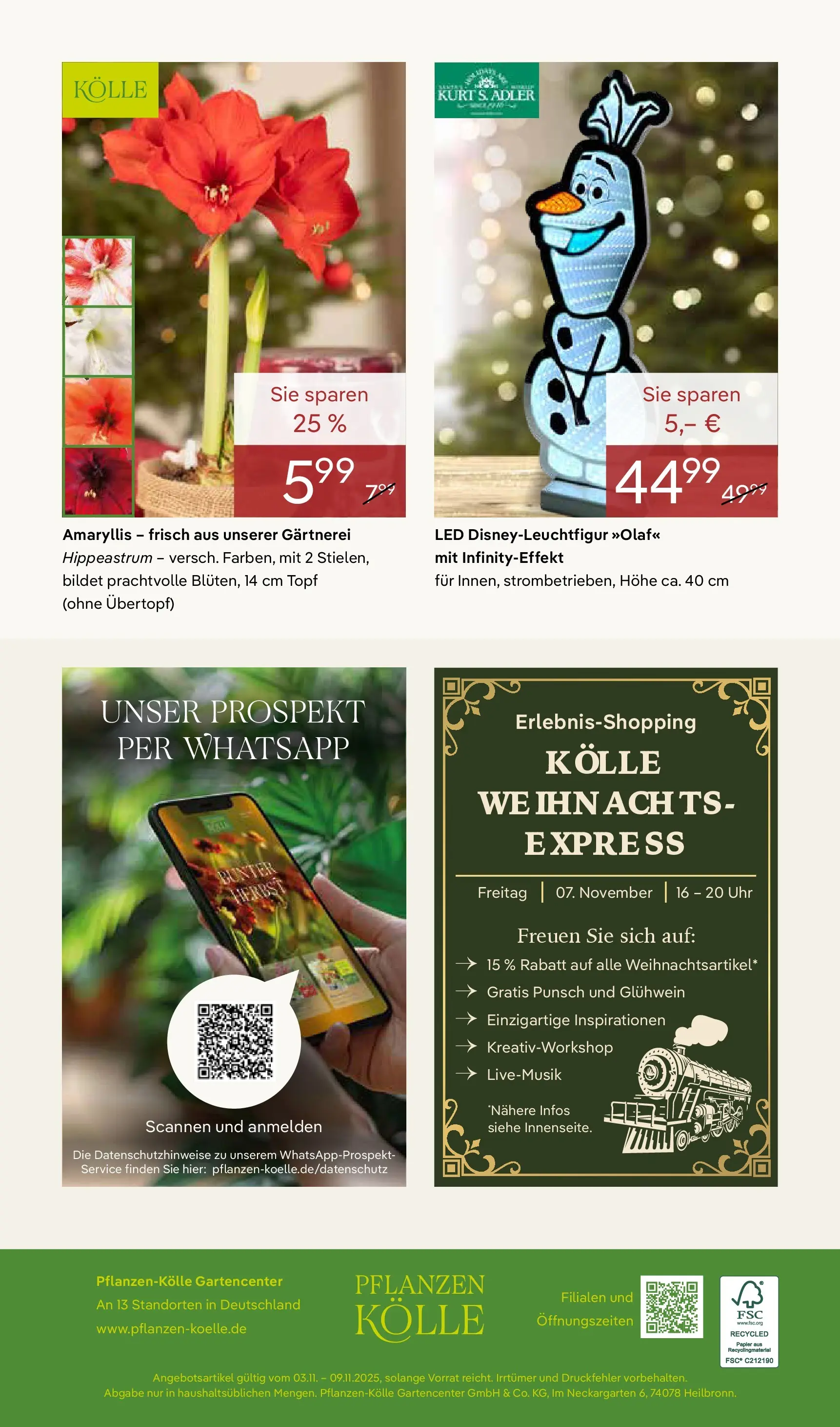 Pflanzen-Kölle - Pflanzen-Kölle: Winterzauber erleben (ab 02.11.2025) zum Blättern | Seite: 20 | Produkte: Uhr