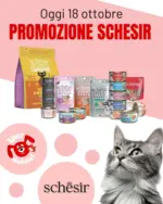 Iper Animal Offerte Iper Animal - al 12.11.2025