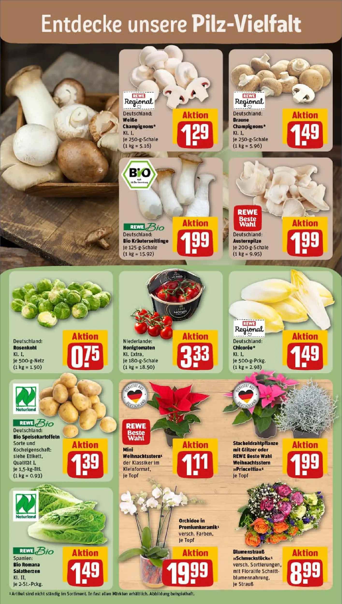 REWE Prospekt ab 02.11.2025 zum Blättern » Angebote | Seite: 7 | Produkte: Orchidee, Champignons