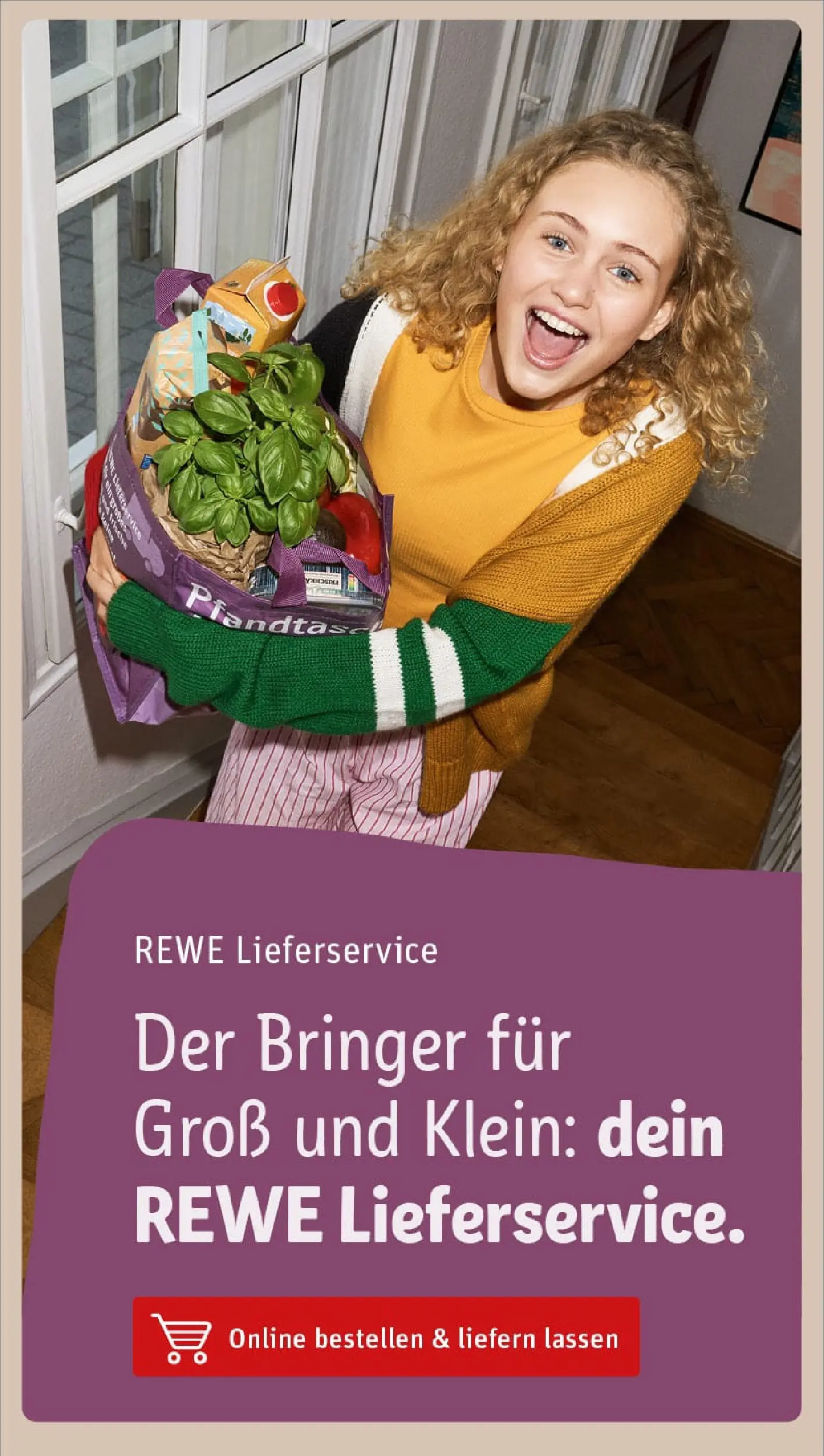 REWE Prospekt ab 02.11.2025 zum Blättern » Angebote | Seite: 24
