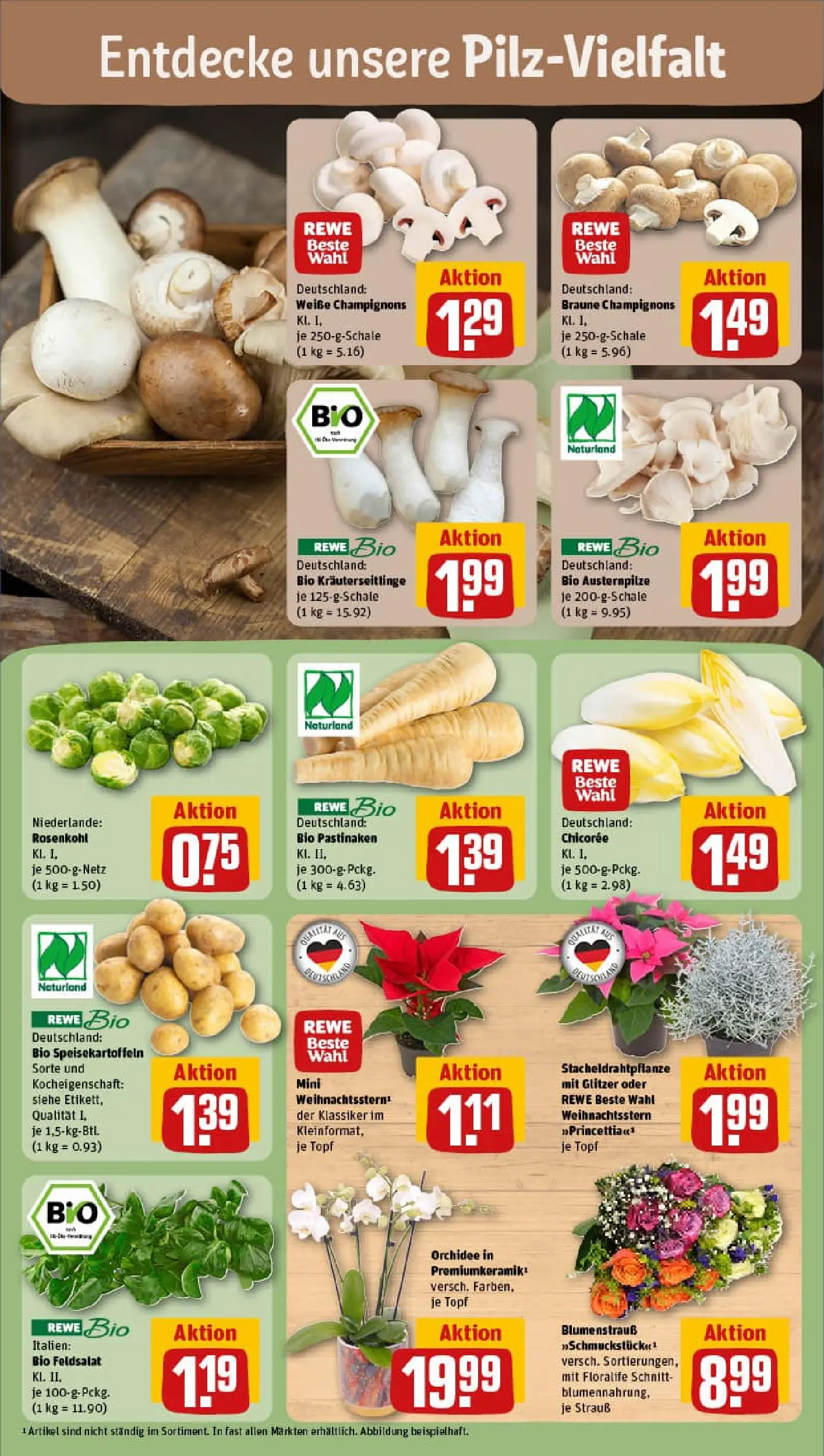 REWE Prospekt ab 02.11.2025 zum Blättern » Angebote | Seite: 7 | Produkte: Orchidee, Champignons