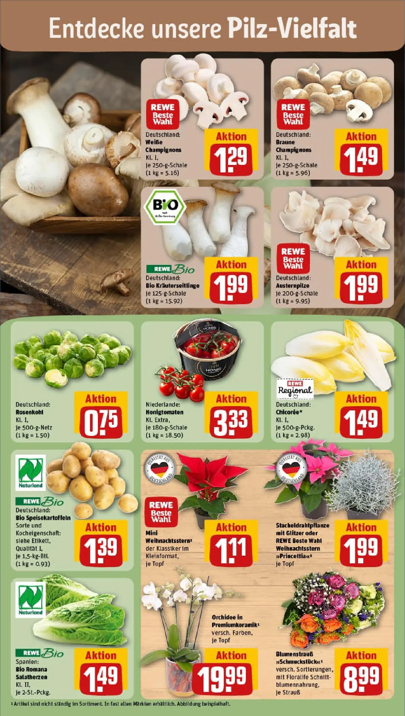REWE Prospekt ab 02.11.2025 zum Blättern » Angebote | Seite: 5 | Produkte: Orchidee, Champignons
