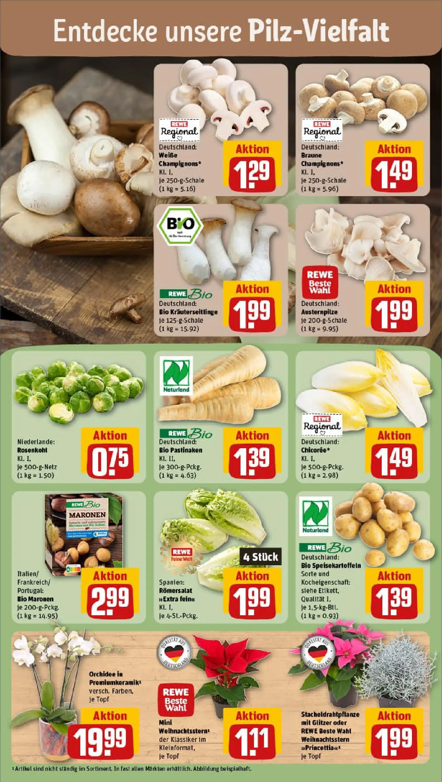 REWE Prospekt ab 02.11.2025 zum Blättern » Angebote | Seite: 7 | Produkte: Orchidee, Champignons