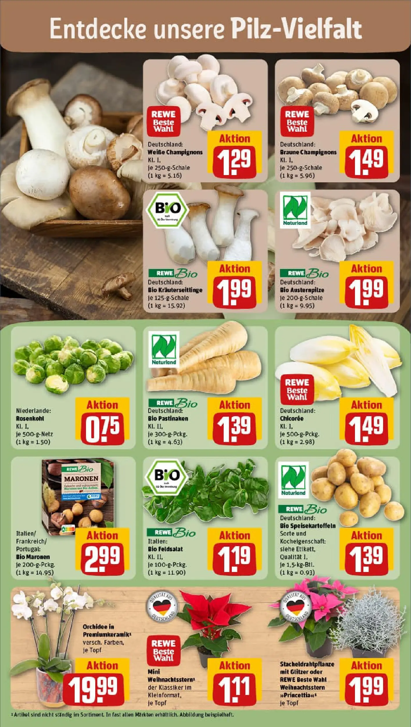 REWE Prospekt ab 02.11.2025 zum Blättern » Angebote | Seite: 7 | Produkte: Orchidee, Champignons