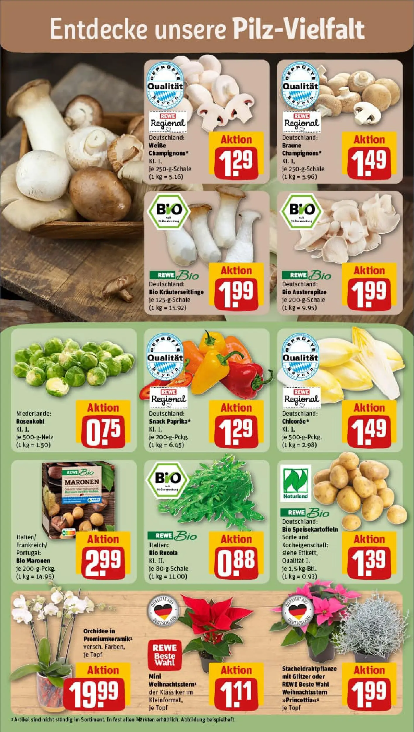REWE Prospekt ab 02.11.2025 zum Blättern » Angebote | Seite: 7 | Produkte: Orchidee, Rucola, Champignons