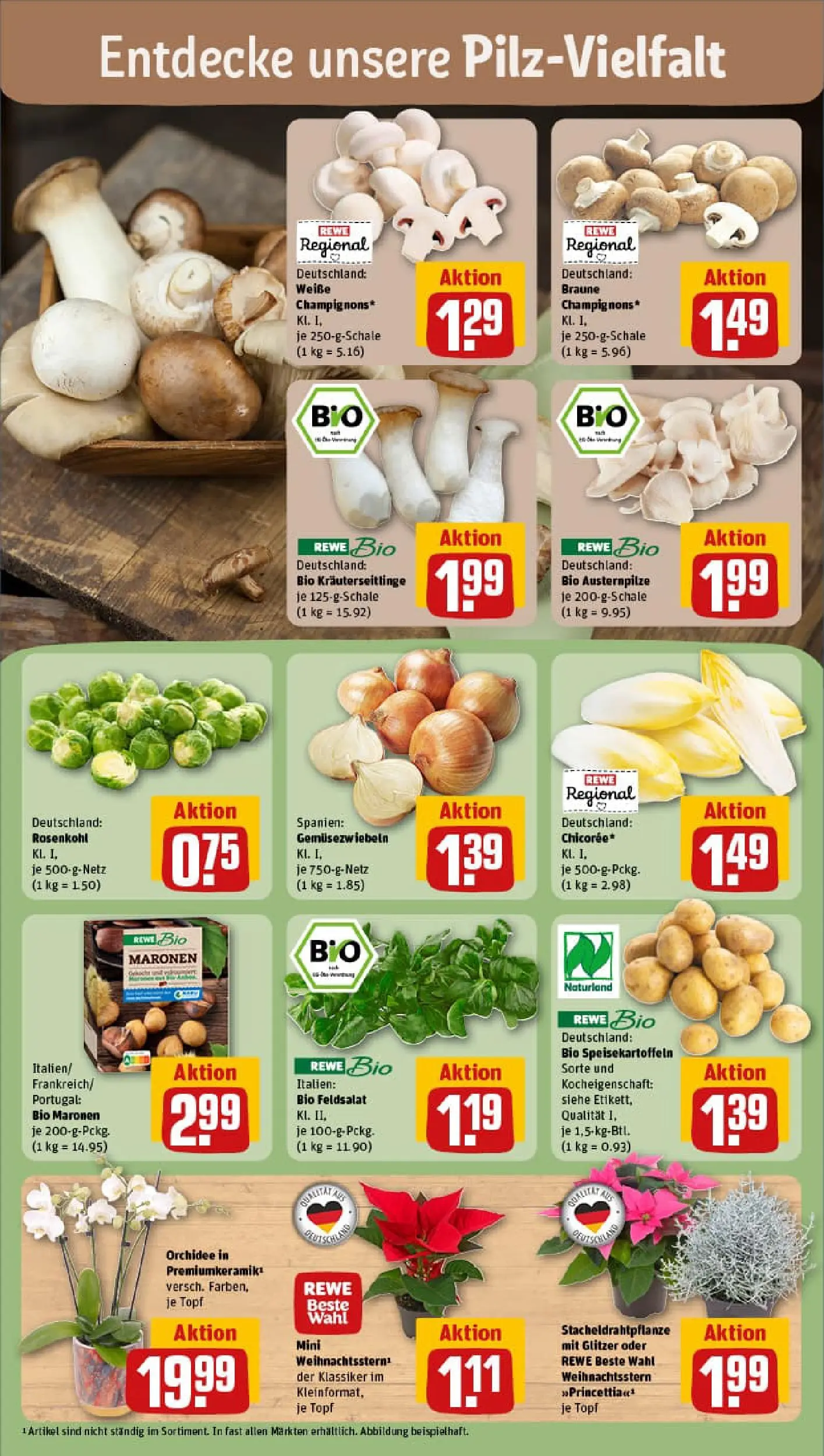 REWE Prospekt ab 03.11.2025 zum Blättern » Angebote | Seite: 7 | Produkte: Orchidee, Champignons