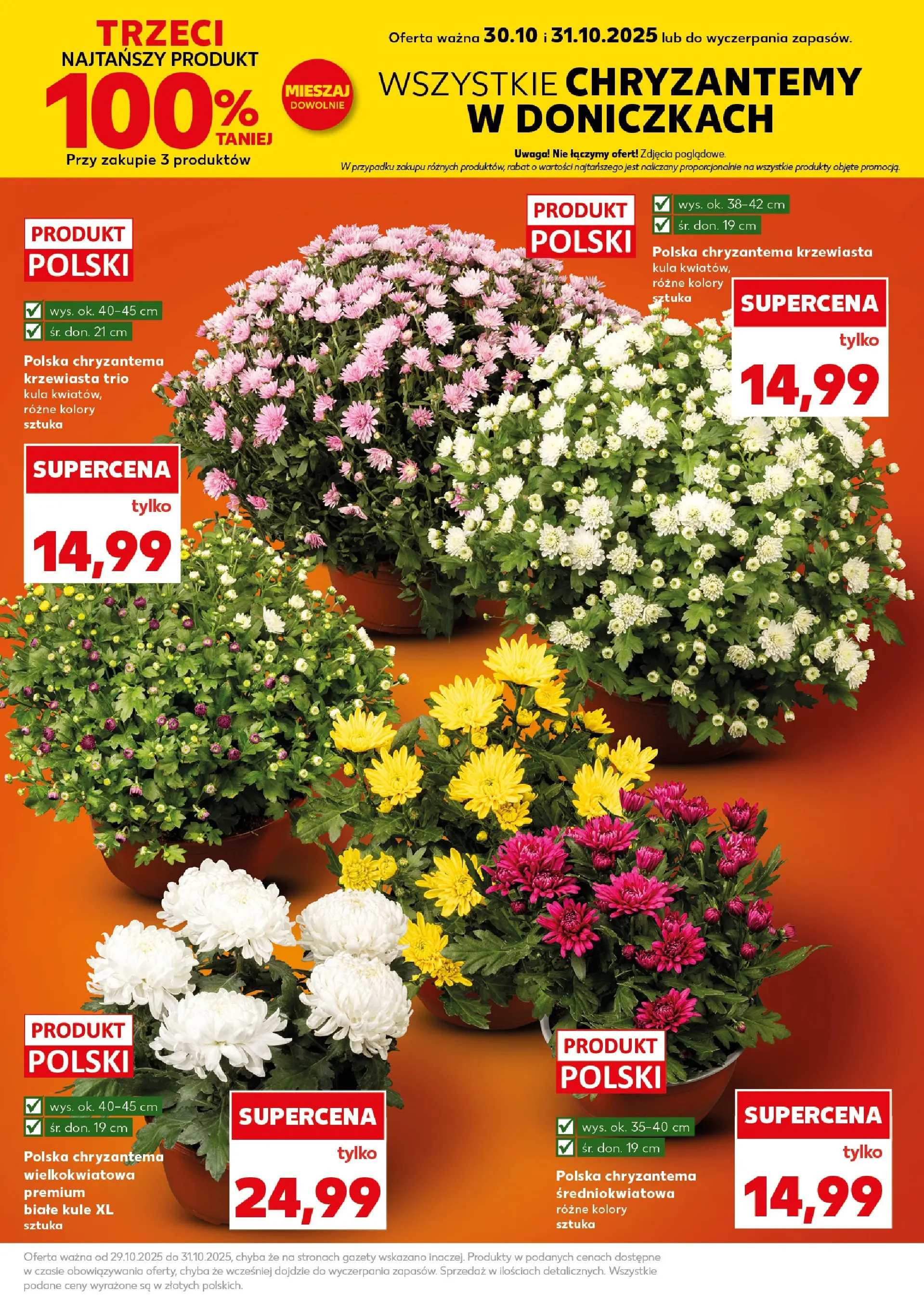 Kaufland gazetka - Super Piątek od 31.10.2025 - od jutra PDF | Strona: 15 | Produkty: Chryzantemy