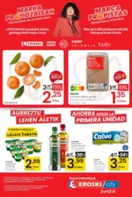 Marca Propista EROSKI CITY