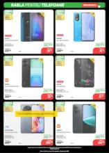 Catalog Flanco până în data de 10.11.2025