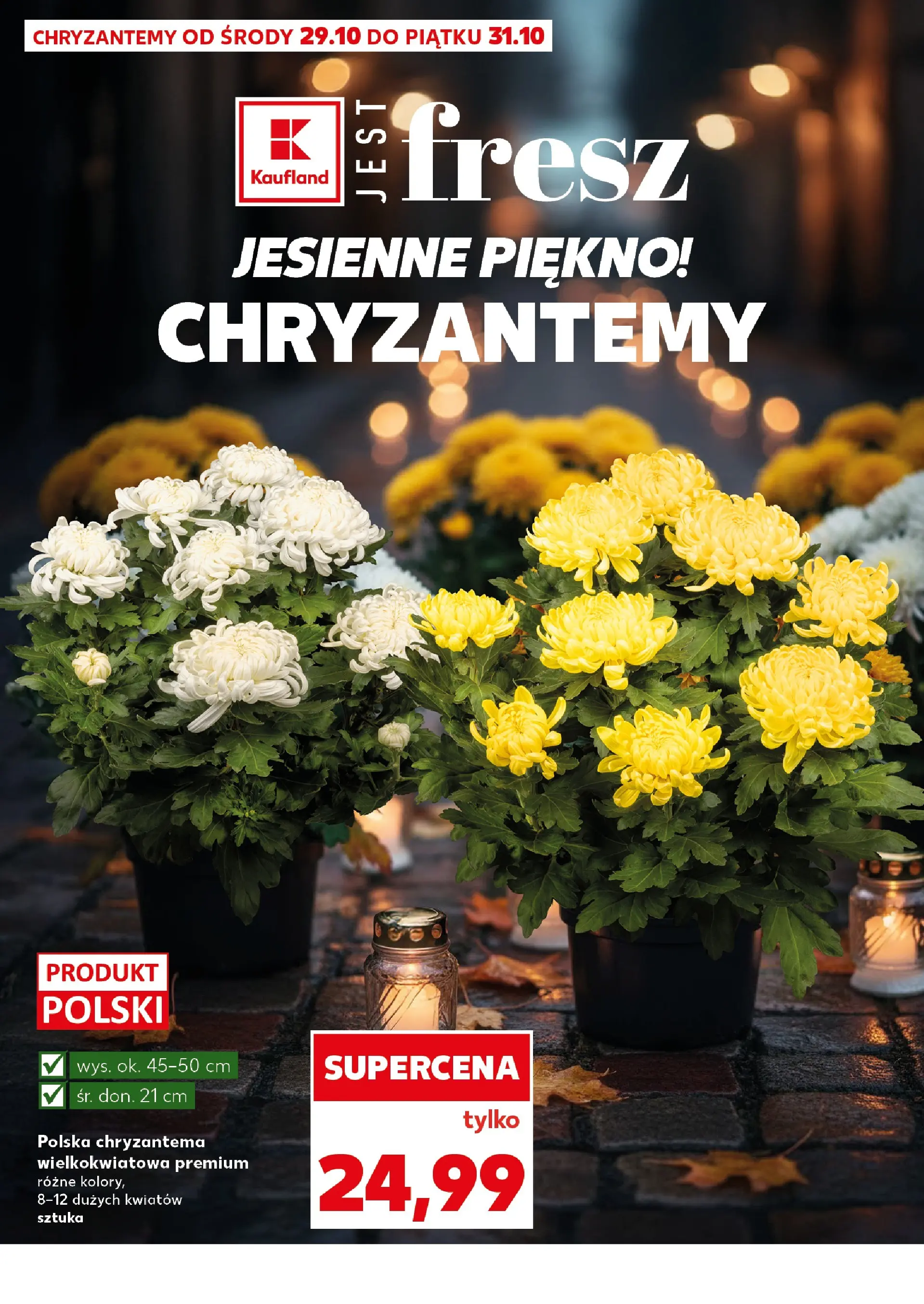 Kaufland gazetka - Super Piątek od 31.10.2025 - od jutra PDF | Strona: 14 | Produkty: Chryzantemy