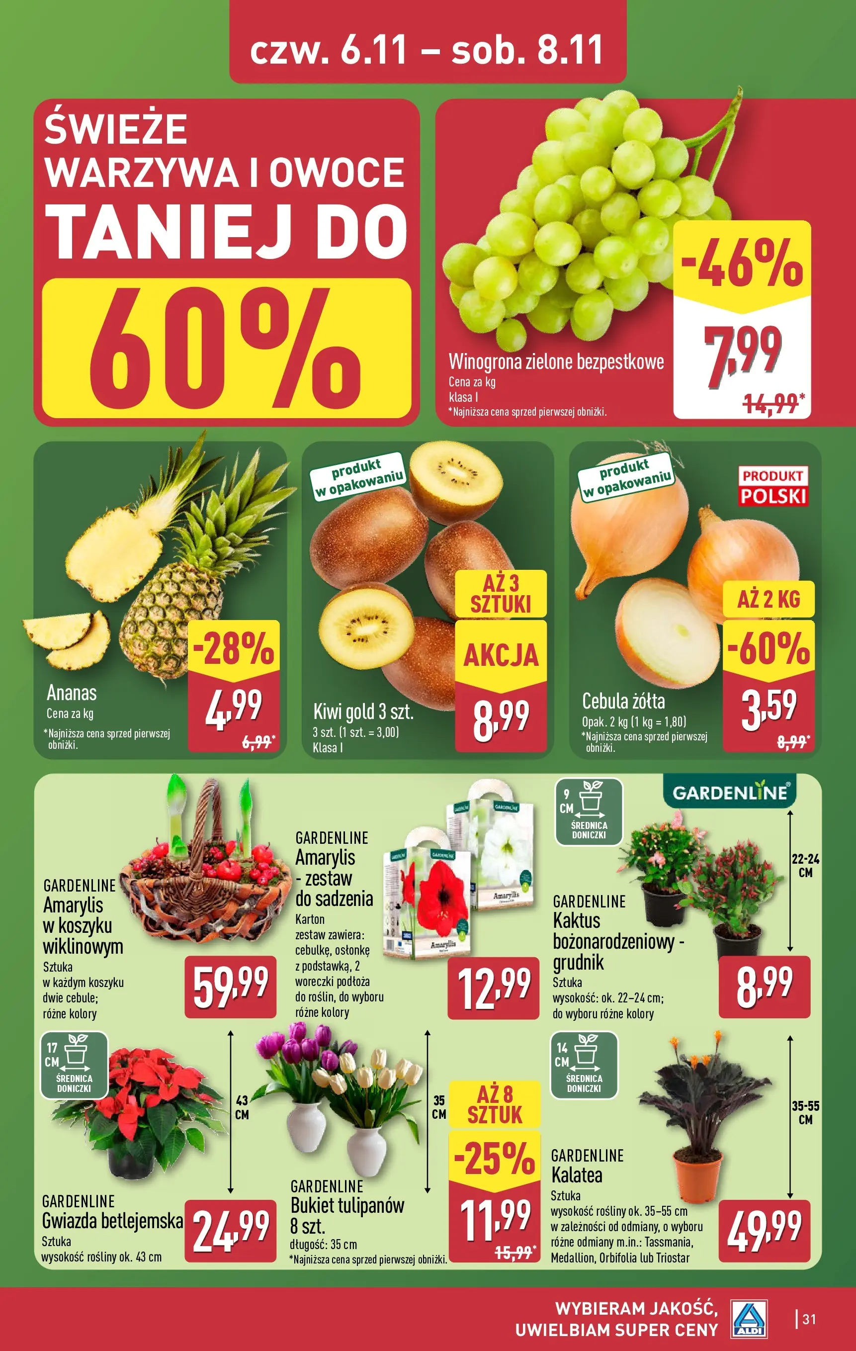 Aldi - Aż do 90% taniej w ALDI! od 02.11.2025 - Ulotka PDF, promocje | Strona: 31 | Produkty: Kalatea, Amarylis, Kiwi, Warzywa