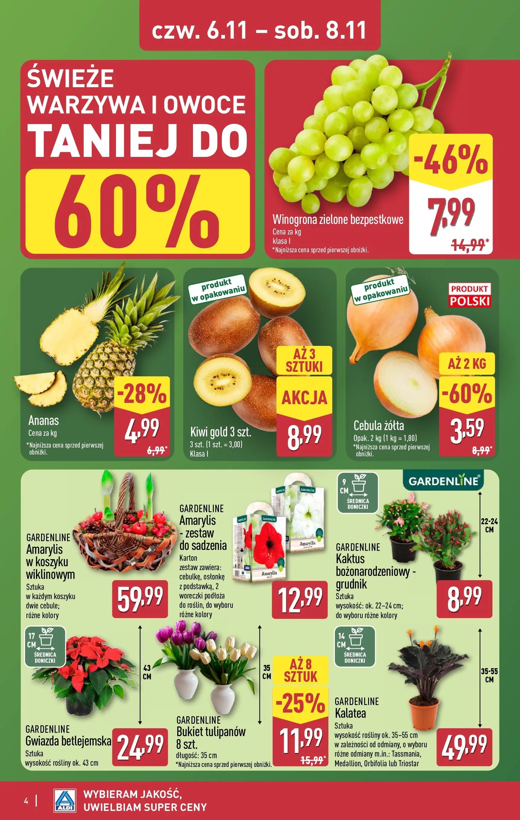 Aldi - Weekend super cen w ALDI od 05.11.2025 - Ulotka PDF, promocje | Strona: 4 | Produkty: Amarylis, Doniczki, Ananas, Kiwi