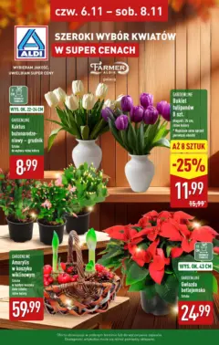 Pogląd oferty "Aldi - Kwiaty w super cenach w ALDI" - ważna od 05.11.2025