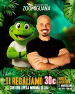Zoomiguana Offerte Zoomiguana - al 31.12.2025