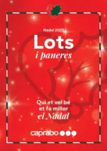 Nadal 2025 Lots i paneres