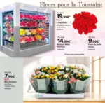 Costco Fleurs pour la Toussaint - au 16.11.2025