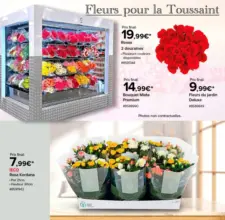 Fleurs pour la Toussaint
