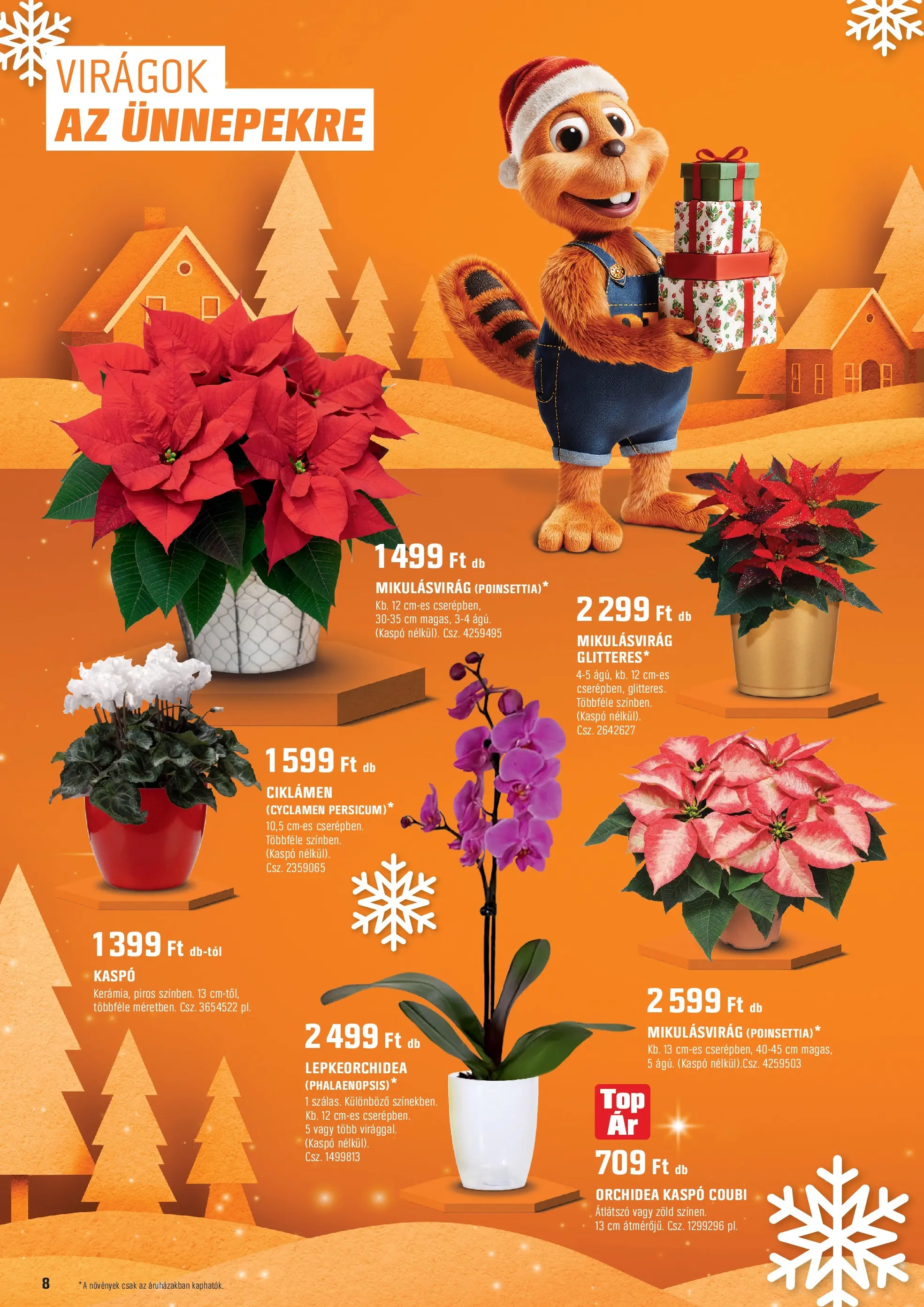 OBI - OBI újság érvényessége 2025.11.30-ig - 2025.11.04. -tól/töl > akció, lapozható szórólap 🛍️ | Oldal: 8 | Termékek: Orchidea, Virágok, Kaspó