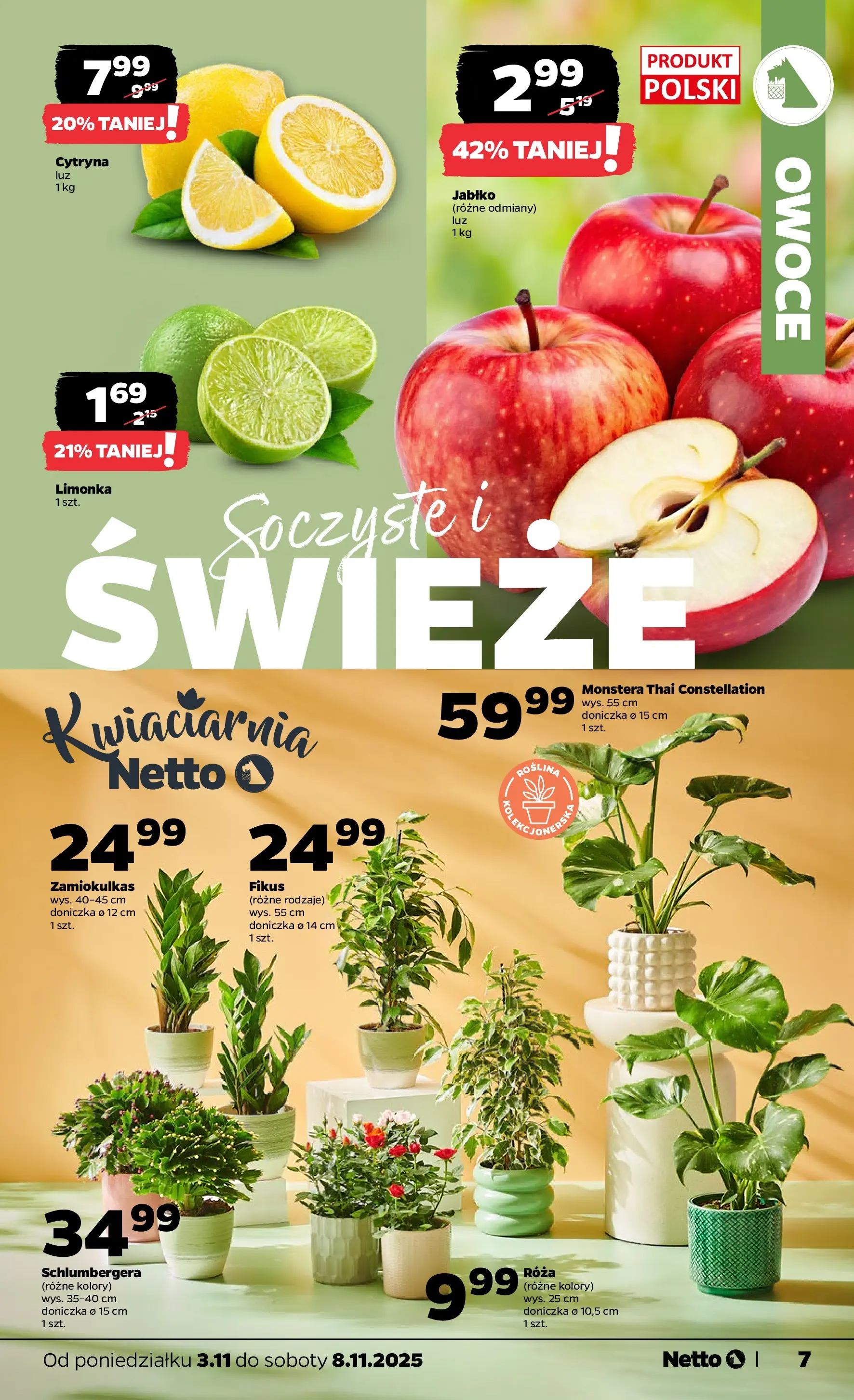 Netto gazetka - Spożywcza od 03.11.2025 - Aktualne promocje | Strona: 7 | Produkty: Cytryna, Limonka, Doniczka, Owoce