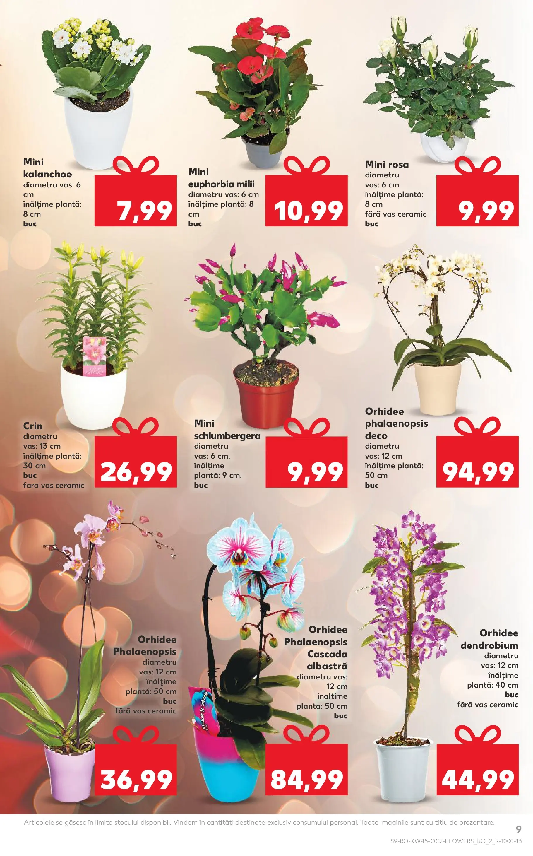 Catalog Kaufland - Zalau 04.11.2025 - Revista si Oferta | Pagină: 9