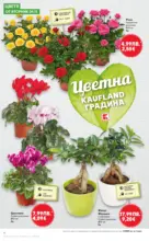 Kaufland хипермаркет Спестявай с мега марки в Kaufland с валидност до 09.11.2025 - от 03-11-25