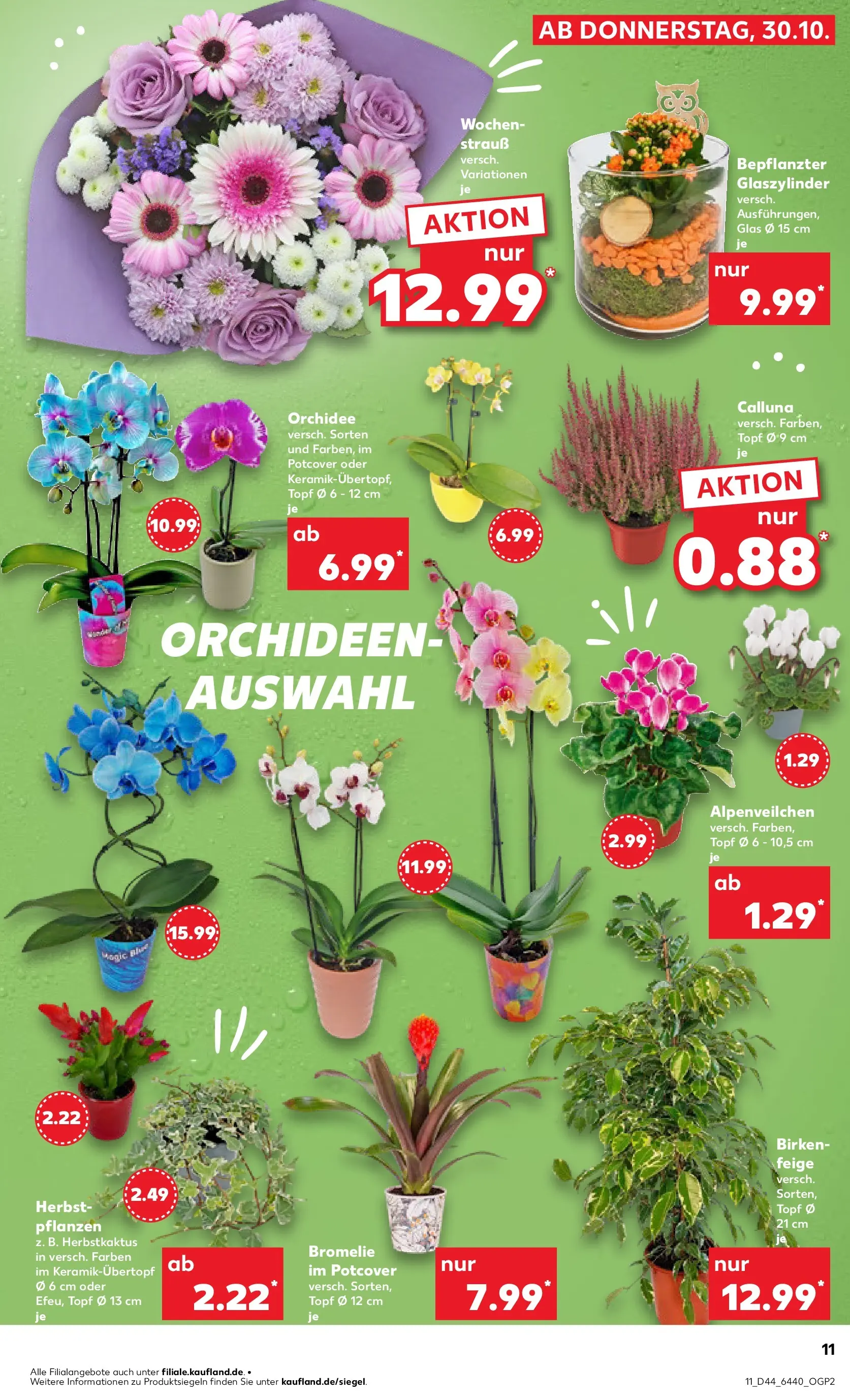Prospekt Kaufland ab 02.11.2025 » Angebote und Werbung Online | Seite: 11 | Produkte: Orchidee Prospekt Kaufland ab 02.11.2025 » Angebote Online zum Blättern | Seite: 11 | Produkte: Orchidee