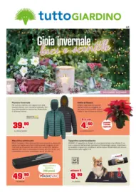 Gioia invernale, luci e scintille