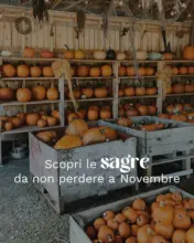 Novembre