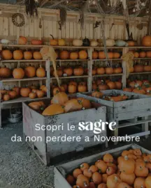 Novembre