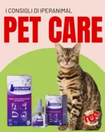Iper Animal Offerte Iper Animal - al 17.11.2025