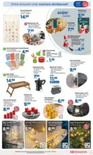 Rossmann Rossmann: Onlineprospekt - bis 07.11.2025