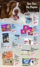 Rossmann Rossmann: Onlineprospekt - bis 07.11.2025