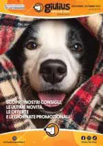 Giulius NOVEMBRE - DICEMBRE 2025 - al 31.12.2025