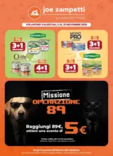 Volantino novembre 2025