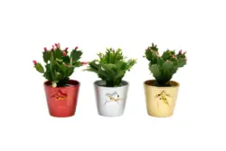 Коледниче в керамика 9 см