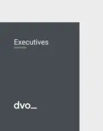 DVO EXECUTIVES "OVERVIEW" - al 18.11.2025