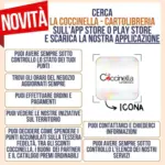 La Coccinella Offerte La Coccinella - al 19.11.2025