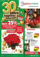 hagebaumarkt: Flugblatt