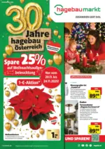 5 Täler Bauhandels GmbH hagebaumarkt: Flugblatt - bis 29.11.2025