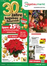 hagebaumarkt: Flugblatt